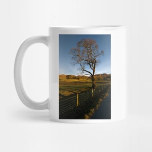 Elterwater Mug